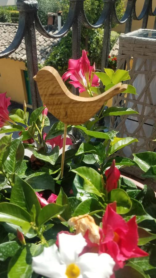 Holiday home Palma Spello