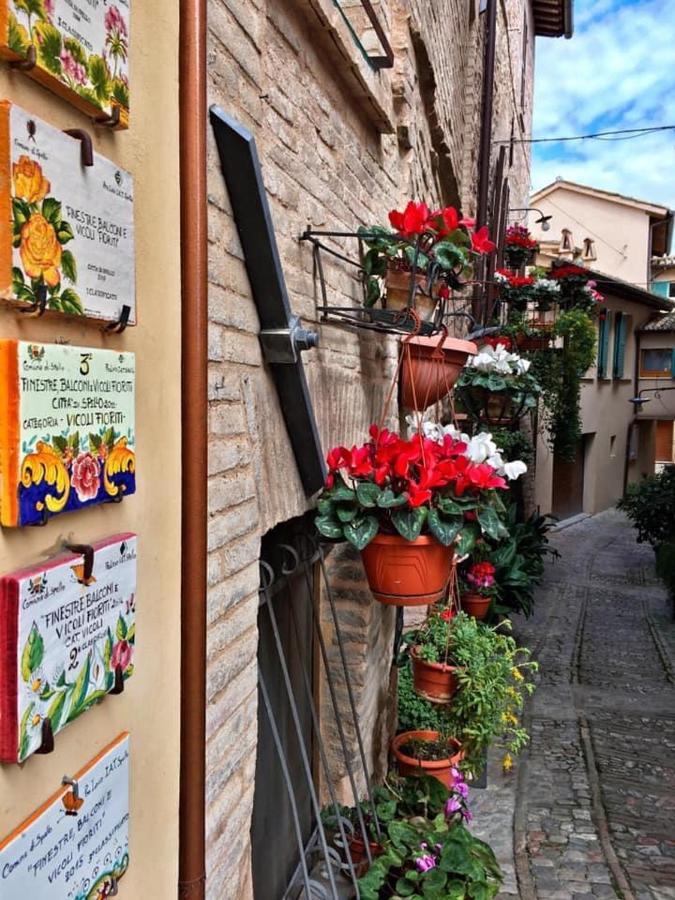 Palma * Spello